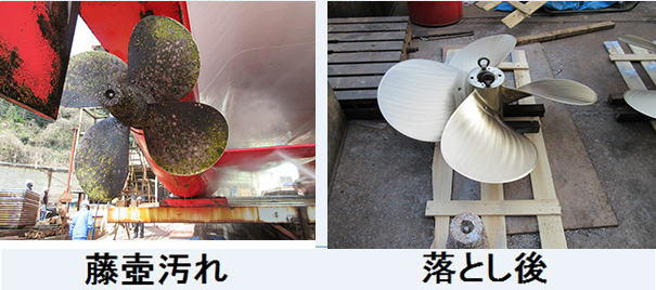 藤壺汚れ 落とし後